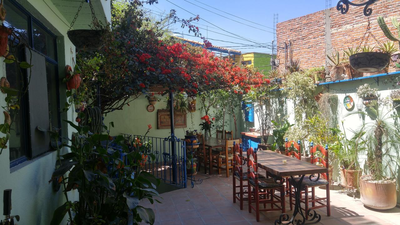 Casa Papaya San Miguel Hotell San Miguel de Allende Exteriör bild